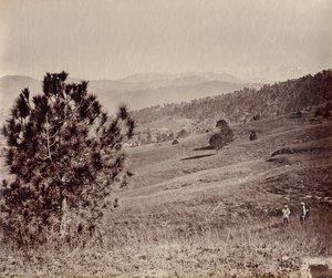 Krajina se stromem a třemi muži, Indie