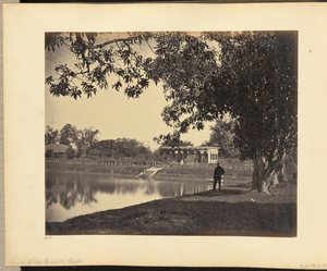 Pohled do zahrady Rajah Ghosauls Garden