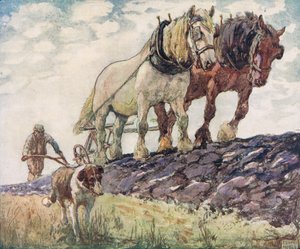Orba pole, ilustrace z 