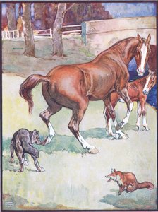 The Mare Lifted Her Hoof, ilustrace pro lišku Reynard, z knihy Animal Legends from Many Lands, vydané nakladatelstvím Raphael Tuck & Sons Ltd. od John Edwin Noble