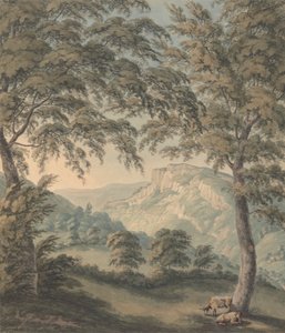 Matlock High Tor, Derbyshire od John Emes