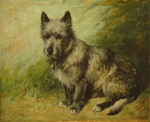 Cáry od John Emms
