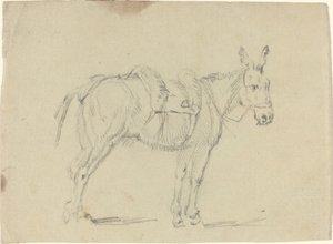 Osel natahující zadní nohu od John Flaxman