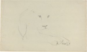 Lion   1223659   cs       czech Successfully Translated  Original: Illustration from Dantes Divine Comedy, Inferno, Canto IX. 28 Translat: Illustration from Dante
