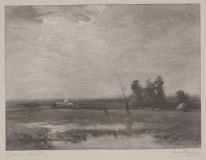 Lowlands Afternoon, tisk vytvořil Timothy Cole (1852-1931)