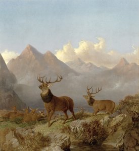 Detail jelenů a laně v krajině Vysočiny, 1864 od John Frederick Herring Junior