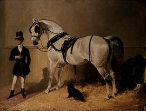 Kočárový kůň svatého Jakuba od John Frederick Herring Senior