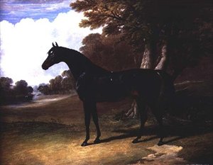 Gaucus, tmavý hnědák v zalesněné krajině (olej na plátně) od John Frederick Herring Senior
