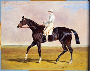 Lucetta“ s J. Robinsonem Up, 1834 od John Frederick Herring Senior