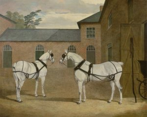 Šedí kočároví koně pana Sowerbyho na jeho Coachyard v Putteridge Bury, Hertfordshire, 1836