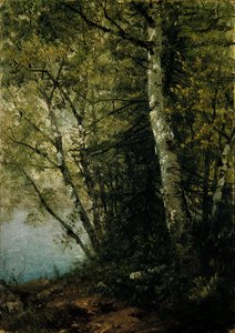 Studie buků od John Frederick Kensett