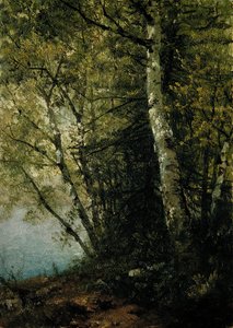 Studie o bucích, 1872. od John Frederick Kensett