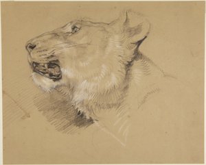 Hlava lvice od John Frederick Lewis