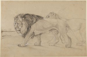 Lvi od John Frederick Lewis