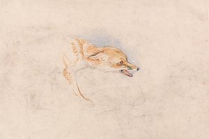 Studie přikrčené lišky, která se dívá doprava od John Frederick Lewis