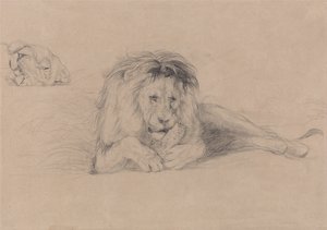 Studie lva a studie hlavy lvice od John Frederick Lewis