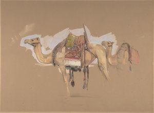 Dva velbloudi, ca. 1843. od John Frederick Lewis