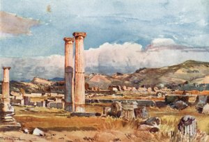 Olympia. Palaestra a pozůstatky Diova chrámu od John Fulleylove