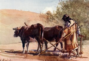 Orba na Olivové hoře, 1902. od John Fulleylove