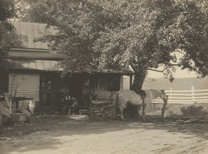 Venkovský obchod a pošta, 1890-1900 (foto) od John G. Bullock