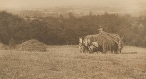 Nakládání sena,1890-1900 (foto) od John G. Bullock