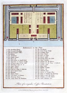 Plán pravidelné kávové plantáže, 1813