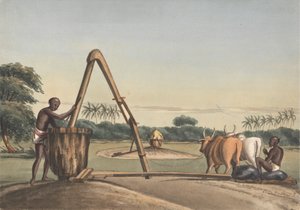 Checkoo nebo Oil Mill od John Gantz
