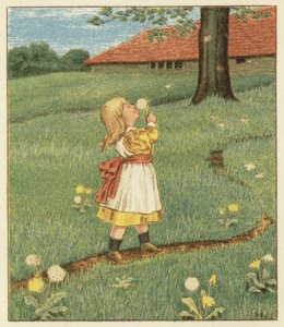 Semena pampelišky (barva litho)