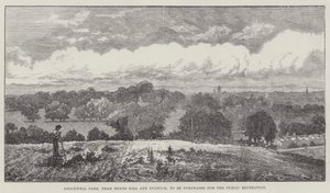 Brockwell Park, poblíž Herne Hill a Dulwich, který má být zakoupen pro veřejnou rekreaci od John Gilbert