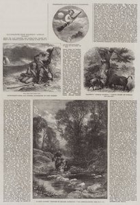 Ilustrace z Baldwinova Afrického lovu