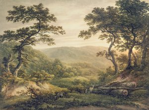 Needlewood Forest, Hampshire (akvarel na papíře) od John Glover