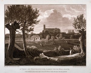 Pohled na Westminster při pohledu z Millbank, Londýn, 1807