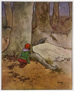 jezevec (barva lito) od John Hassall