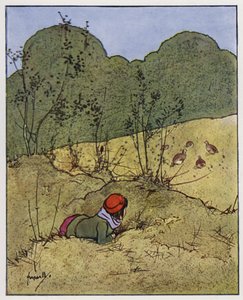 Koroptev (barva lito) od John Hassall