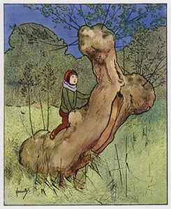 Střízlík (barva lito)