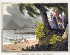 Egyptians Crocodile Catching, vyryl Matthew Dubourg (fl.1785-1820), vydal Edward Orme
