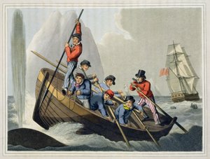 Lodní člun útočí na velrybu, vyryl Matthew Dubourg (fl. 1785-1820), vydal Edward Orme, 1813