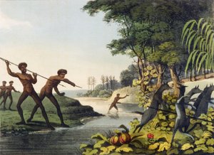 Hunting the Kangaroo, domorodci v Novém Jižním Walesu, vyrytý Matthew Dubourg (fl. 1813-1820) 1813