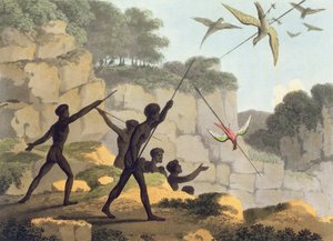 Házet oštěpem, domorodci lovící ptáky z Nového Jižního Walesu, vyryto hospodou Matthewem Dubourgem (f.1813-1820). 1813