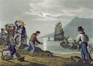 Chytání želv na souši, vyryl Matthew Dubourg (fl.1785-1820), vydal Edward Orme, 1813