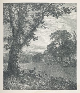 Talíř 3. Jelen kolem stromu.  Obrázky přírody. Série třiceti originálních ilustrací nakreslených na dřevě od J. H. Della a vyrytých R. Patersonem.  John Henry Dell