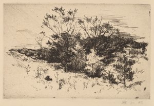 Podzimní Avondale od John Henry Twachtman