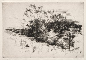 Podzimní krajina, 1879-80. od John Henry Twachtman