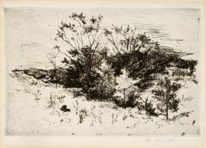 Krajina poblíž Cincinnati od John Henry Twachtman