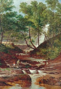Cat Holes Dam Fall v Todmorden, 1870