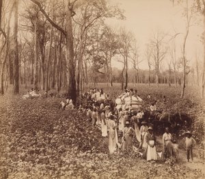 12 hodin v umrtvení, ca. 1891. od John Horgan