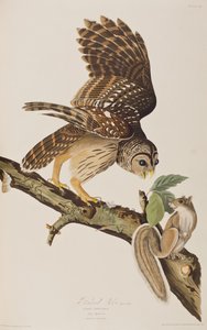 Ilustrace z 