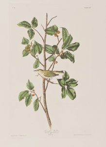 Ilustrace z 