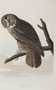 Ilustrace z 