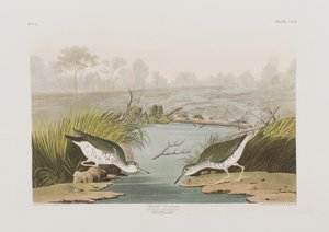 Ilustrace z 
